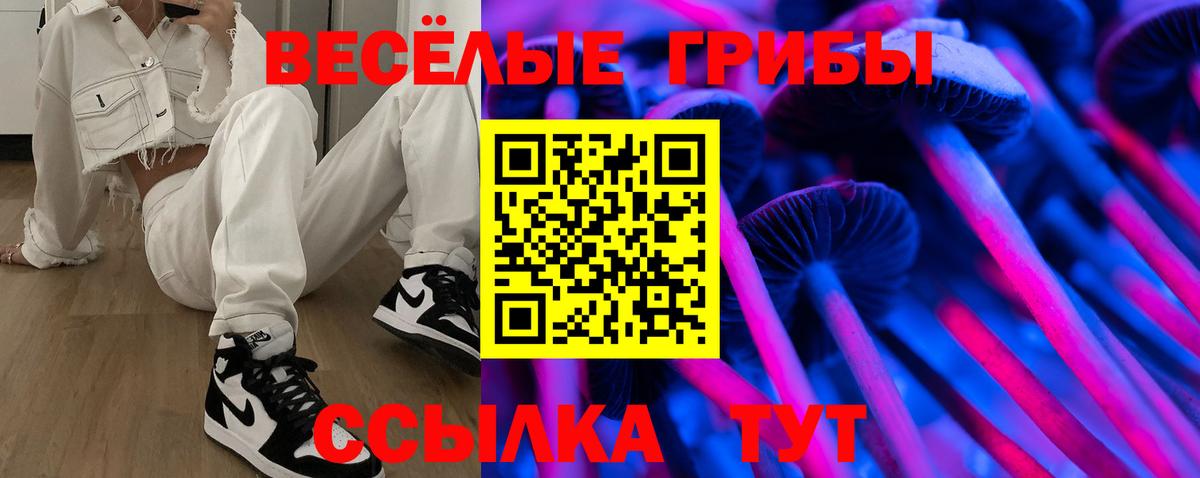 Галлюциногенные грибы мицелий  Псилоцибиновые грибы GOLDEN TEACHER  наркошоп  Шадринск  Вход с VPN 