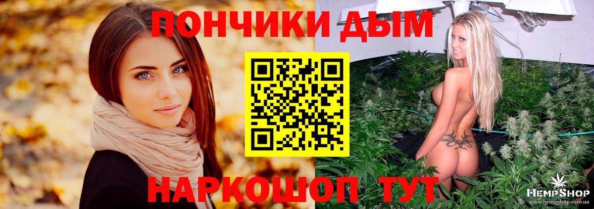 Каннабис сатива  Конопля семена  Вход с VPN  Бошки марихуана LSD WEED  Шадринск  Бошки марихуана конопля 